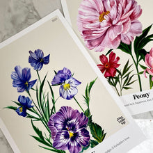 Load image into Gallery viewer, The Language of Flowers Pansy Giclée Print
