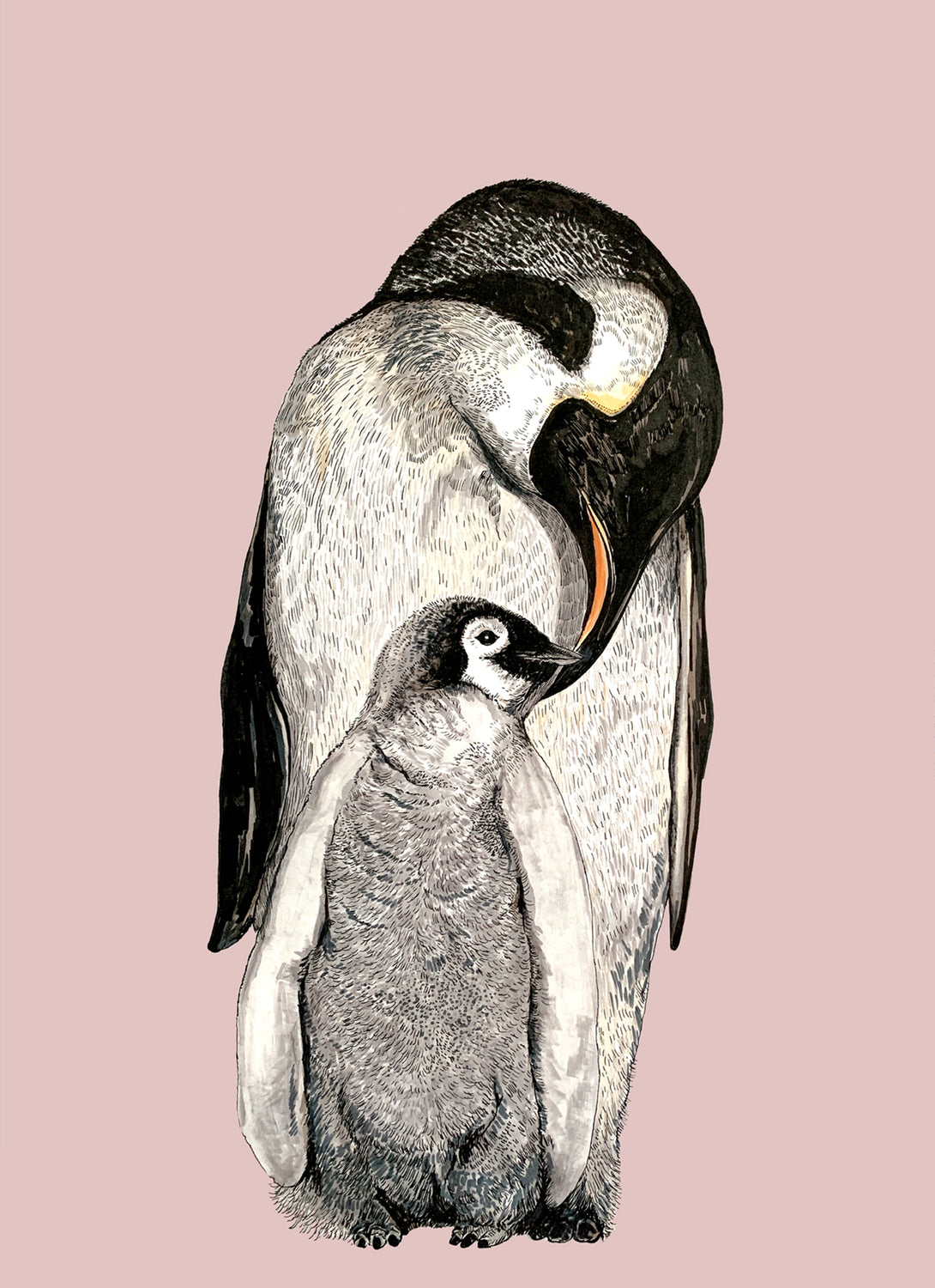 Penguin On Pink
