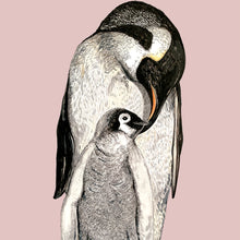 Load image into Gallery viewer, Penguin On Pink
