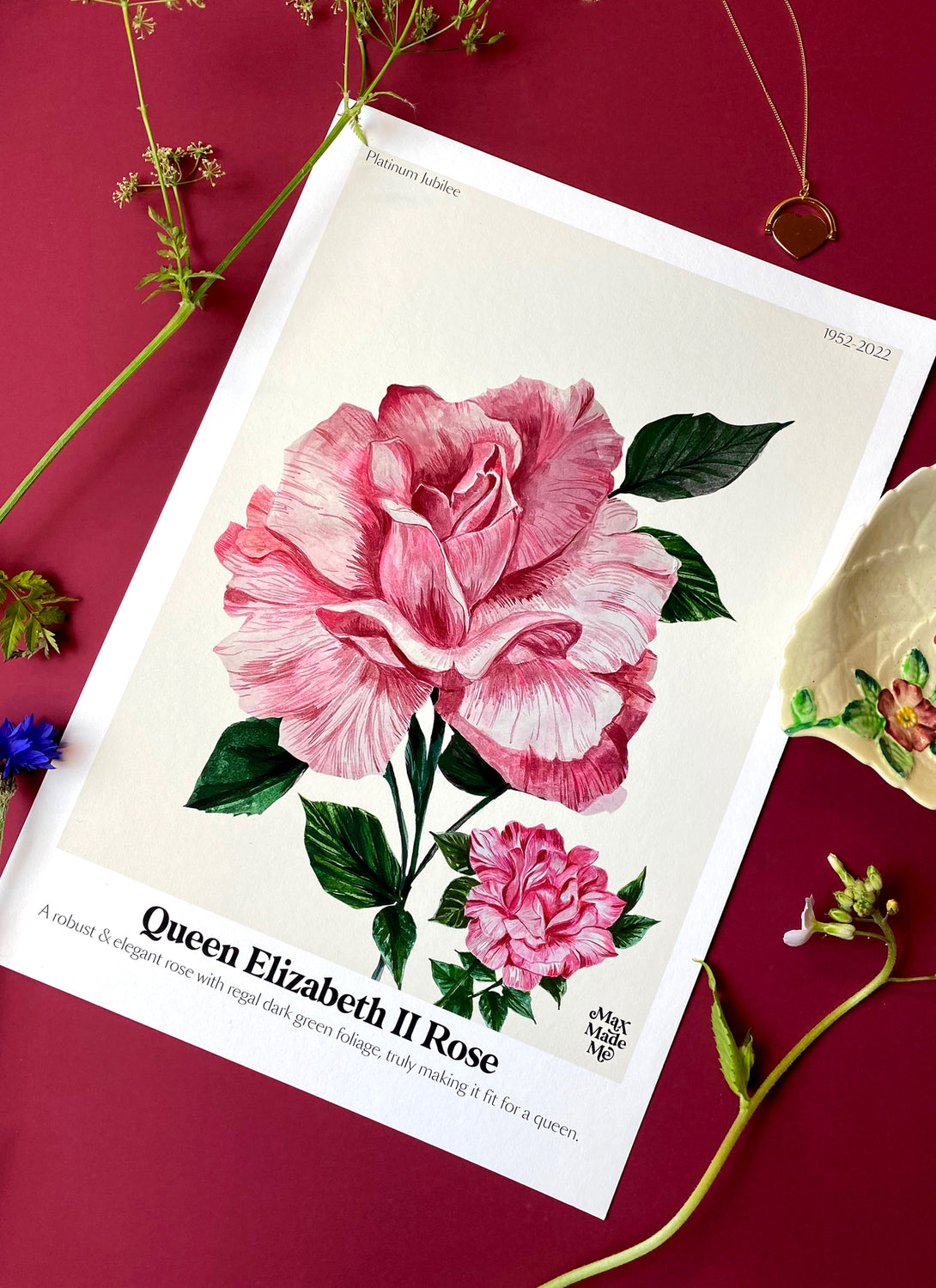 The Language of Flowers Queen Elizabeth Rose Giclée Print