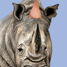 Load image into Gallery viewer, Rhino Party Hat Powder Blue
