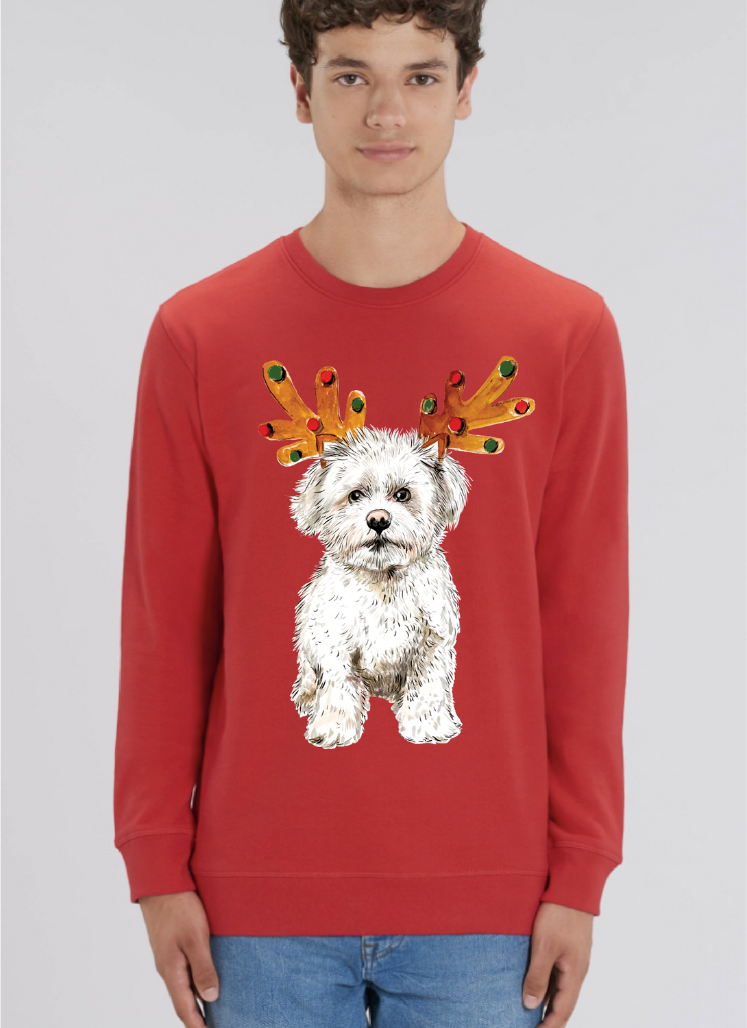 PRE ORDER Adult Reindeer Dog Christmas Jumper In Red